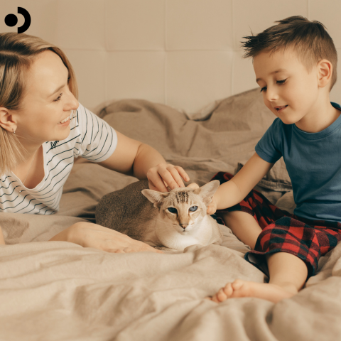 Cat allergy remedy
