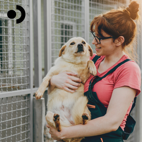 How to Adopt a Dog: A Step-by-Step Guide for First-Time Pet Parents