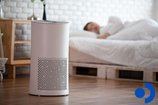Best Air Purifiers and Hypoallergenic Bedding for Allergy Relief