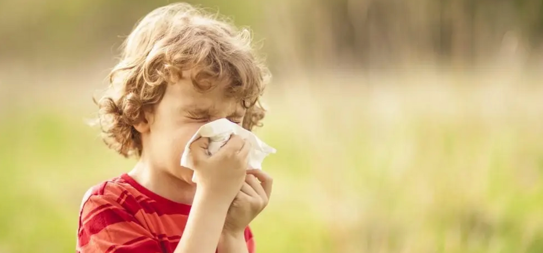 MCAS vs Allergies: What's the Difference