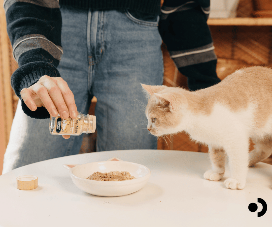 Can Egg Yolk Powder Help Reduce Cat Allergies Naturally? A Look at New Solutions Like Pacagen