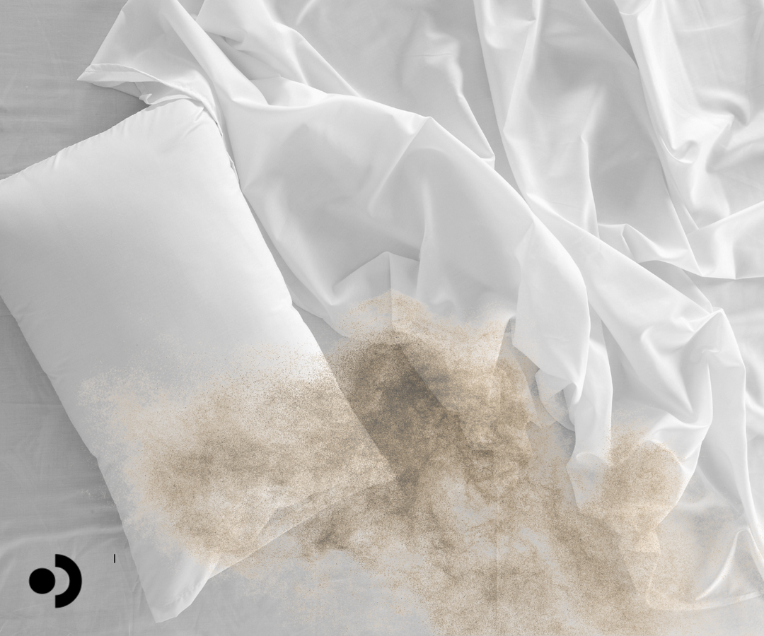 dust mite allergy bedding