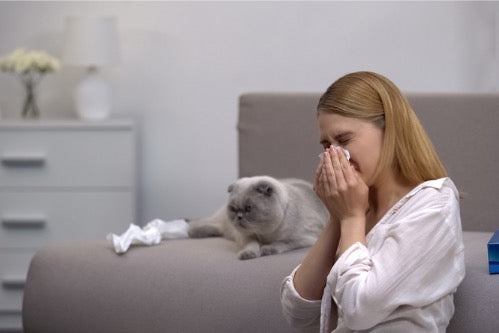 How Long Do Pet Allergens Stay in a Home?