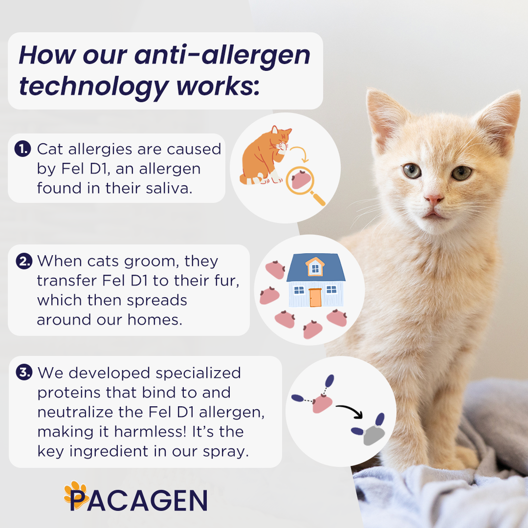 Cat Allergen Neutralizing Spray Starter Pack