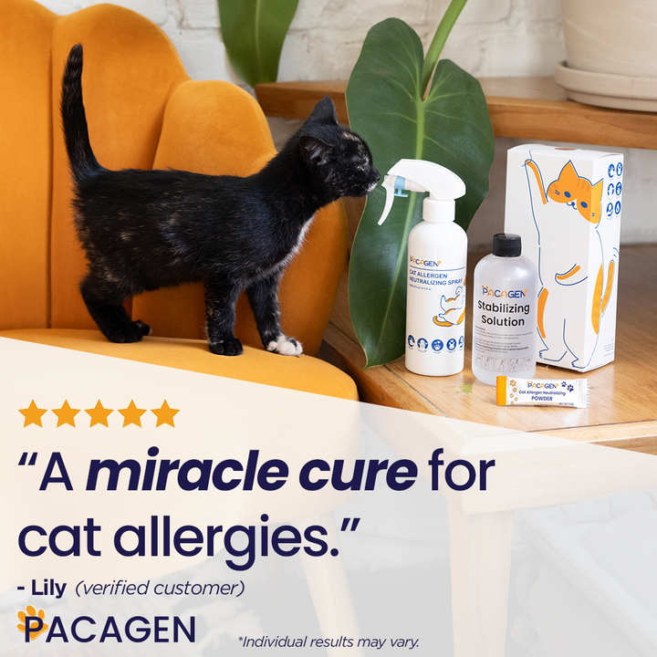 Cat Allergen-Proofing Bundle