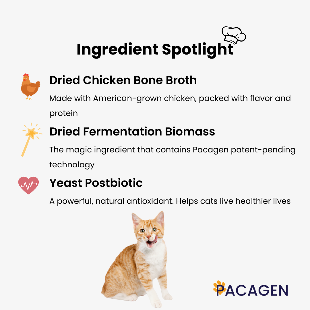 Cat Allergen-Proofing Bundle
