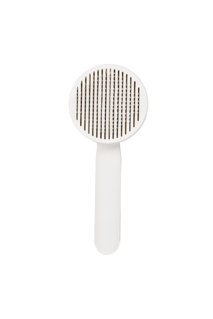 Pet Brush